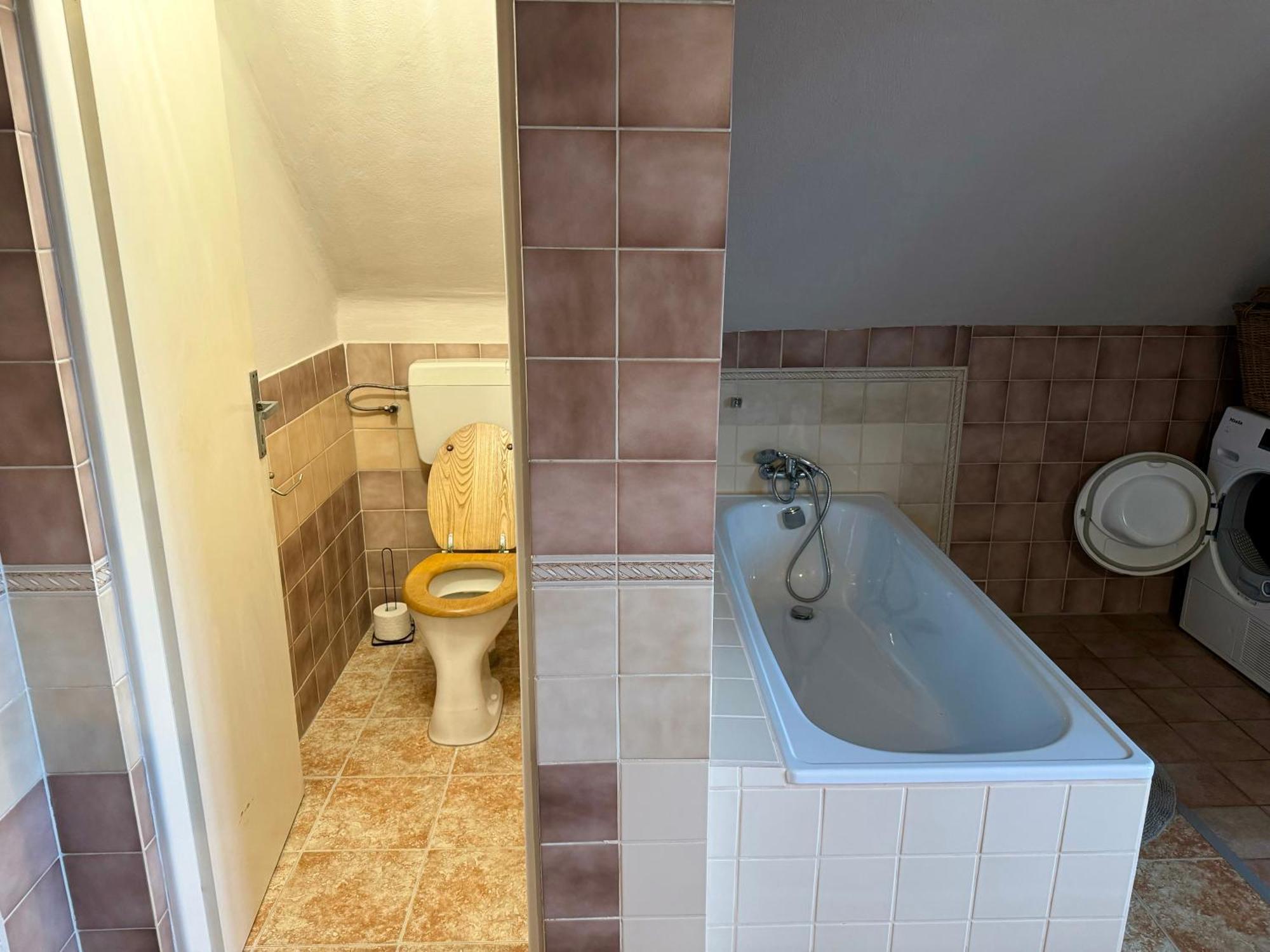 Apartment Prvorepublikovy Dum Se Zahradou Podivin